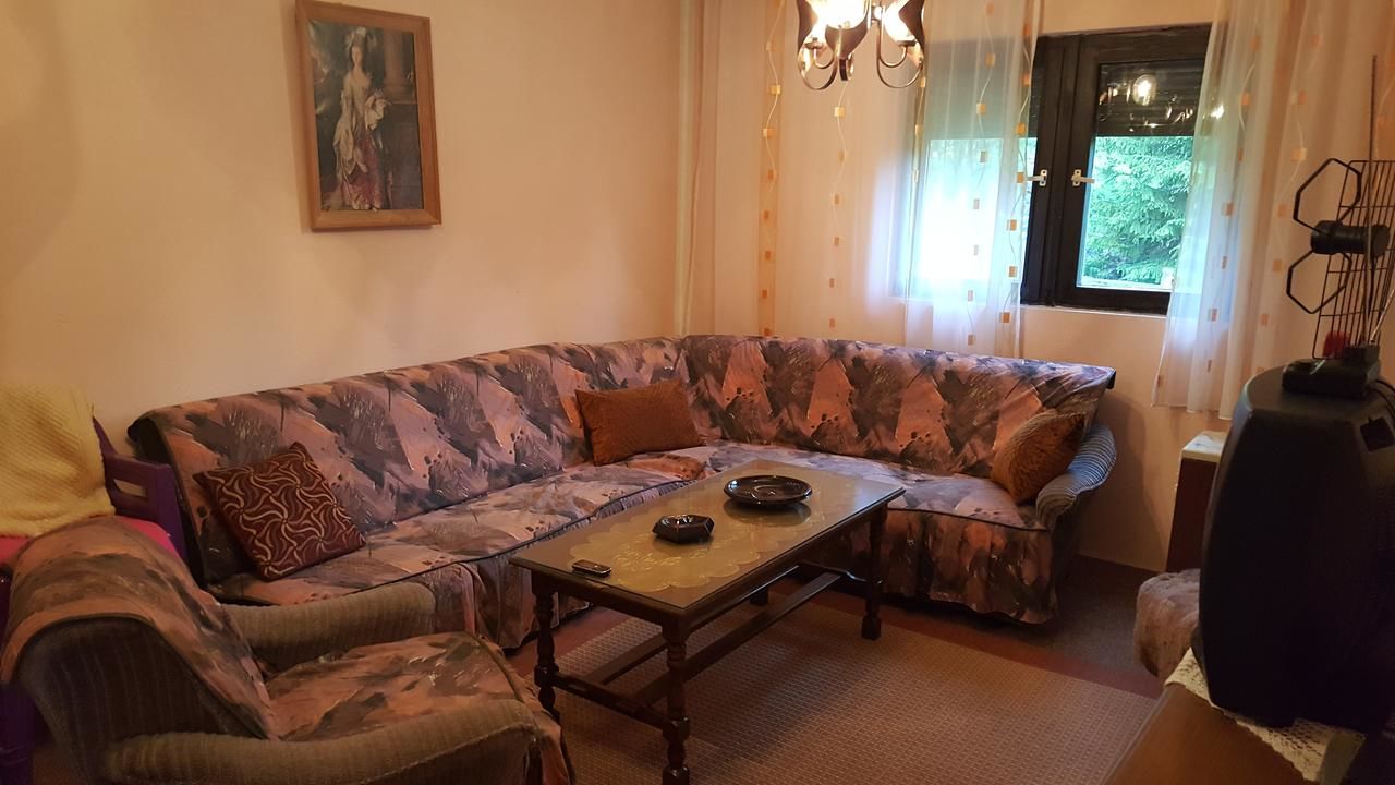 Дома для отпуска Holiday Home Tijana Жабляк-22