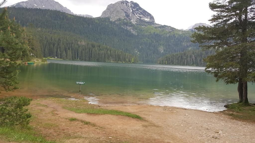 Дома для отпуска Holiday Home Tijana Жабляк-55
