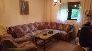 Дома для отпуска Holiday Home Tijana Жабляк Дом с 3 спальнями-15