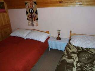 Дома для отпуска Holiday Home Tijana Жабляк Дом с 3 спальнями-21