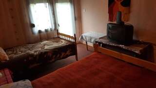 Дома для отпуска Holiday Home Tijana Жабляк Дом с 3 спальнями-34