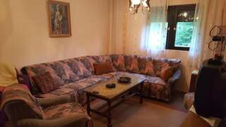 Дома для отпуска Holiday Home Tijana Жабляк Дом с 3 спальнями-41