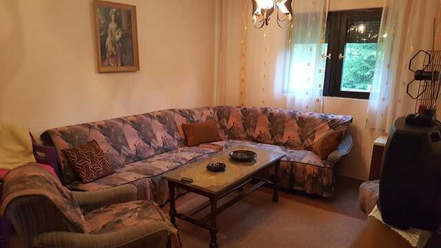 Дома для отпуска Holiday Home Tijana Жабляк-21