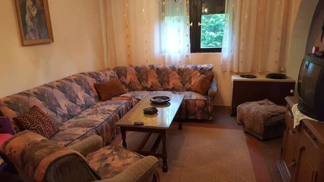 Дома для отпуска Holiday Home Tijana Жабляк-11